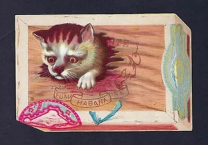 c1890 Victorian Trade Card, Bon Ton Millinery Store, Cigar Box, Cat, Habana - Picture 1 of 2