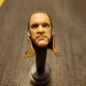 Mattel WWE Elite Triple H (freño fruncido) Cabeza esculpida pieza de forraje personalizada - Imagen 1 de 1