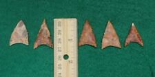 COLLECTION OF 5 NEOLITHIC PROJECTILE POINTS ~ 4000-8000 YEARS OLD!!!