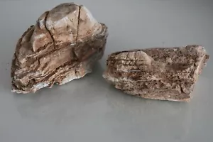 Roca natural de múltiples capas para acuario x 2 para vivero de agua dulce y peces marinos 1E - Imagen 1 de 3