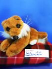 Kelly Toy ,Kuddle Me Toy Laying down Red Fox plush(310-997)