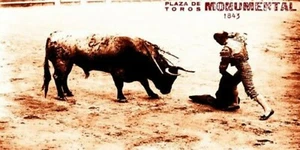 Bullfighting Vintage Poster #12 - Canvas Art Poster 12"x 24" - Picture 1 of 1