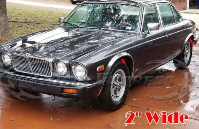 适用于:1973 - 1992 捷豹 XJ6/XJ12 XJ 系列 2/3 4 Dr Fender Trim Wheel Well 4PC 2 — 第 1/4 张图片