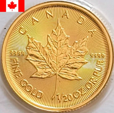 1/20 Oz massive 24ct Gold Maple Leaf Münze 999,9 Pure Fine Bullion - Bild 1 von 4