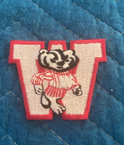 WISCONSIN BADGERS NCAA COLLEGE VINTAGE 2.5" MASCOT LETTER TEAM PATCH Cover
