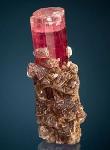 Elbaite con Lepidolite, Pala, Contea di San Diego, California Harris coll 1807-V63 - Foto 1 di 4