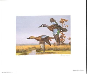 LOUISIANA #1 DUCK STAMPS & PRINT WATERFOWL ARTIST SIGNED DAVID NOLL 1989 - Picture 1 of 3