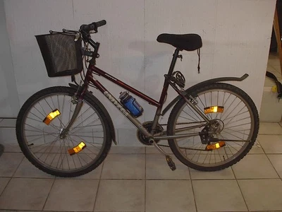 mountainbike 26 zoll damen der Firma Rover Univega - Bild 1 von 4