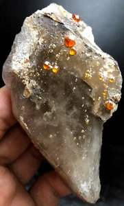 144g 1PC Brand new Rare Black SMOKY QUARTZ Crystal Point&Garnet Spessartine W468 - Picture 1 of 8