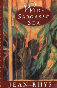 Wide Sargasso Sea: A novel (Norton Paperback Fiction)-Jean Rhys