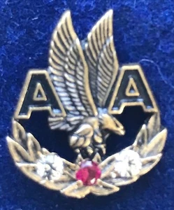 American Airlines Pilot Flight Attendant 25 Year Service Award Lapel Pin - Picture 1 of 4