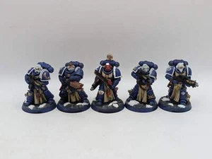Warhammer 40k: Veteranos de la Guardia Estelar de Marines Espaciales - Bien Pintado (AJ114) - Imagen 1 de 7