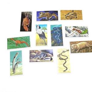 Brooke Bond Tea Cards Incredible Creatures Incomplete Set