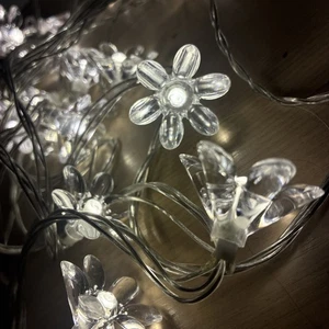 KILOMETER Light chain with 24 bulbs, indoor flower, white - Picture 1 of 11