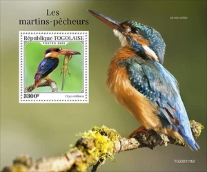 Togo - 2022 Oriental Dwarf Kingfisher - Stamp Souvenir Sheet - TG220111b2 - Picture 1 of 1