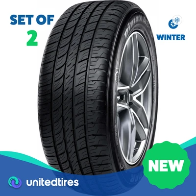 Conjunto de (2) Novo Radar P 255/65R17 Dimax AS-8 110H - Imagem 1 de 3