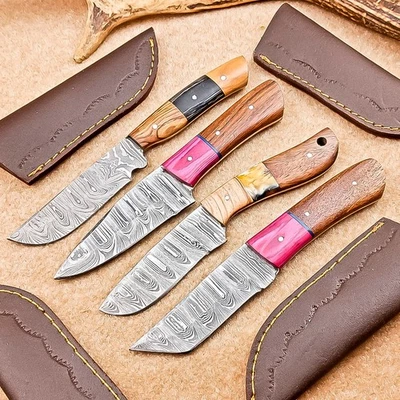 Juego de 4 cuchillos desolladores Damasco Blade mix | 8" | Madera dura, funda de cuero 95 Foto 1 de 4