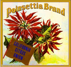 Los Angeles Weihnachtsstern Weihnachten Orange Zitrus Obstkiste Etikett Kunstdruck - Bild 1 von 1