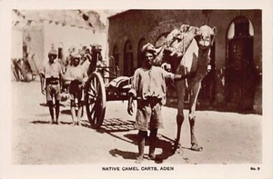 Yemen - ADEN - Native camel carts - Publ. M. S. Lehem & Co. 9 - Bild 1 von 2