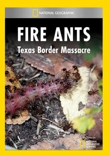 Fire Ants: Texas Border Massacre (DVD) - Image 1 of 1