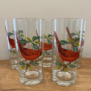 West Virginia Glass Set of 5 Glasses Cardinal Song Bird Painted 6.5 in Tall - Picture 1 of 7