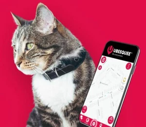 Cat |  Lightest UK tracker | Free and shareable app | UBEE LYNX - Picture 1 of 6