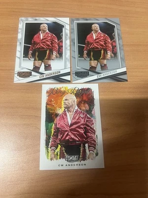 Antología de combate Panini 2025 - CW Anderson #88 plata + base + inserto WWE ECW Foto 1 de 2
