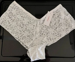 Vintage Cannelle Sheer Lace See Thru Cheeky Panties Sz 6 M Sexy Lacy Unique NWT - Picture 1 of 6