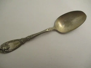 Vintage Antique 1908 La Vigne Grape Pattern 6" Spoon WM A Rogers A1 - Picture 1 of 7