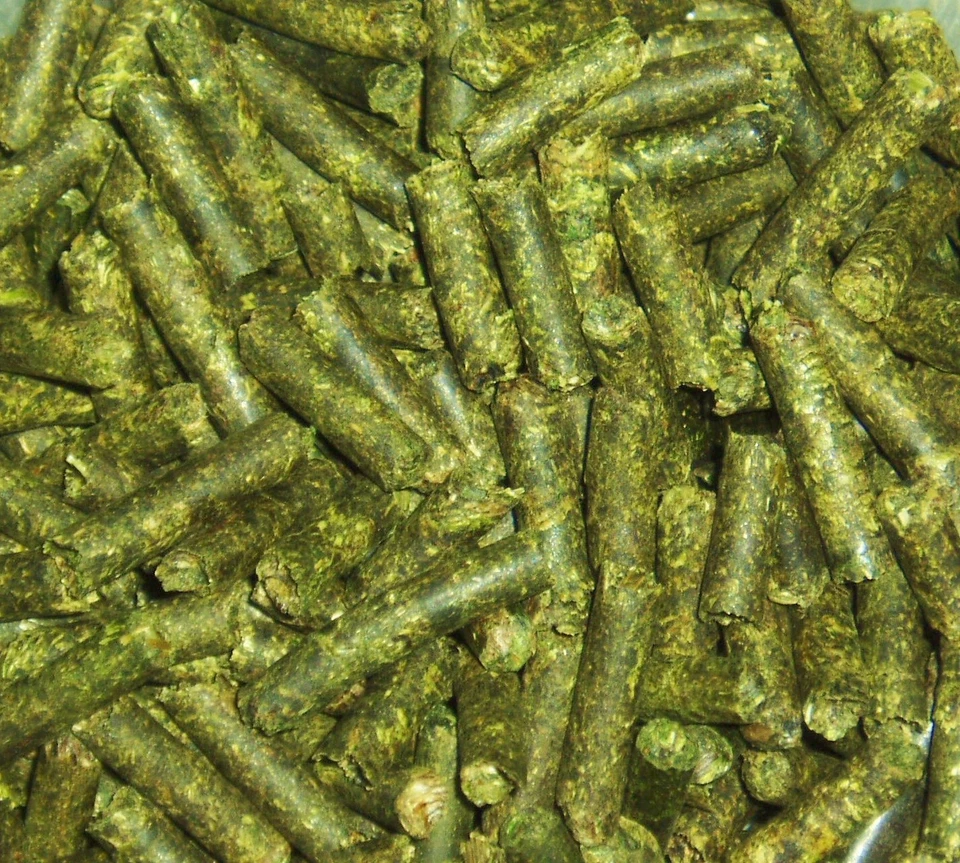 [4,49€/100g] ERBA MEDICA BASTONI Pellet per gamberi & Pesce siluro - mangime - Immagine 1 di 1