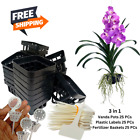 Vanda Orchid Growing Net Pots Tags Fertilizer Cup Air Plant Garden Hanging Décor