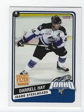 2013-14 Idaho Steelheads (ECHL) 20 Greats Darrell Hay