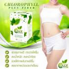 3X Colly Chlorophyll Plus Fiber Green Tea Weight Loss Diet Drink Detox Healty