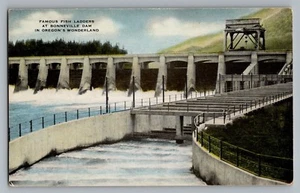 Postal de Oregon OR Bonneville Dam Fish Ladders Columbia River años 50 - Imagen 1 de 2