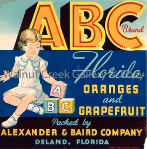 Florida Crate Label Fine Art Print, Child, approx 10.8"x 10.9" 13127 - Picture 1 of 1