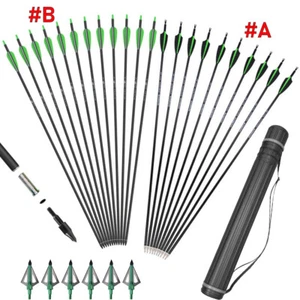 12Pcs 30'' Archery Carbon Arrows 100 grain Broadheads Quiver Bow Target Hunting - Picture 1 of 24