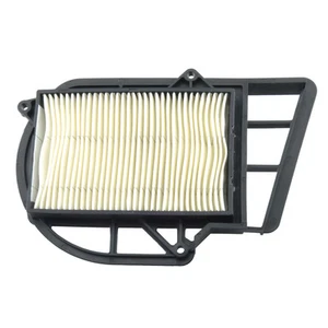 AIR FILTER HUILE FILTRO ARIA MALAGUTI Password 250 2005-2006-2007-2008 - Imagen 1 de 1