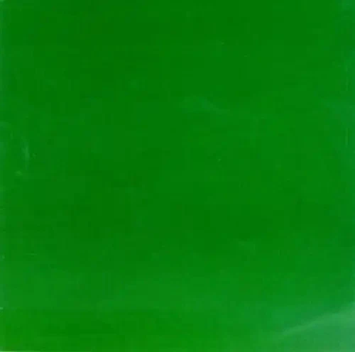 Skankin Pickle - The Green Album ZUSTAND SEHR GUT - Bild 1 von 1