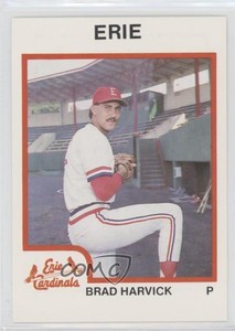 1987 ProCards Minor League Brad Harvick #2584