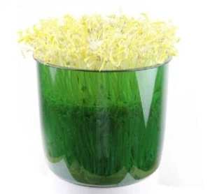 Microcomputer DYJ-A01 New Bean Sprouts Machine Bean Machine Automatic Sprout xq - Picture 1 of 2