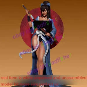 Kit modellino Samurai donna 1/2 1/8 1/6 1/4 non verniciato non assemblato stampa 3D NSFW GK - Foto 1 di 2