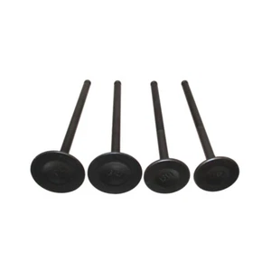 Intake Exhaust Valves For Daytona Anima 150 190 4V FLX FDX FE Engine Dirt Bike - Picture 1 of 9