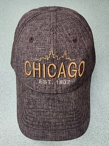 Chicago Skyline Snap Back Ball Cap Big Bear Brand Unisex Adult Gray - Picture 1 of 12