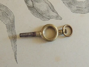 Ancien Petite Clef de Montre à Gousset - Restauration  - Picture 1 of 1