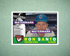 Ron Santo Chicago Cubs 1960 Style Custom Baseball Art Card
