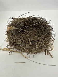 Nido per uccellini naturali realizzato da Minnesota Birds meraviglioso nido abbandonato largo 6" - Foto 1 di 21