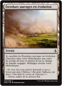 MTG Magic AKH - (x4) Evolving Wilds/Étendues sauvages en évolution, French/VF - Picture 1 of 1