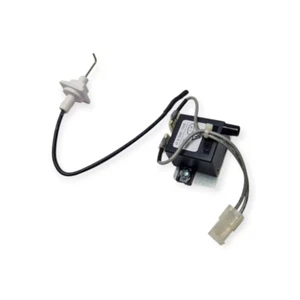 ARISTON 65152148 REPLACEMENT IGNITER AND REPLACEMENT ELECTRODE FOR BOILER - Picture 1 of 1