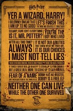 HARRY POTTER - QUOTES POSTER 24x36 - 160538