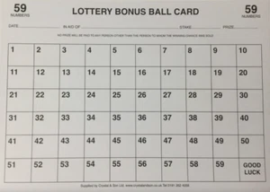 10 X 1 - 59 BONUS BALL CARD LOTTERY BONUS BALL CARD FUNDRAISING A4 DOUBLE SIDED - Picture 1 of 1